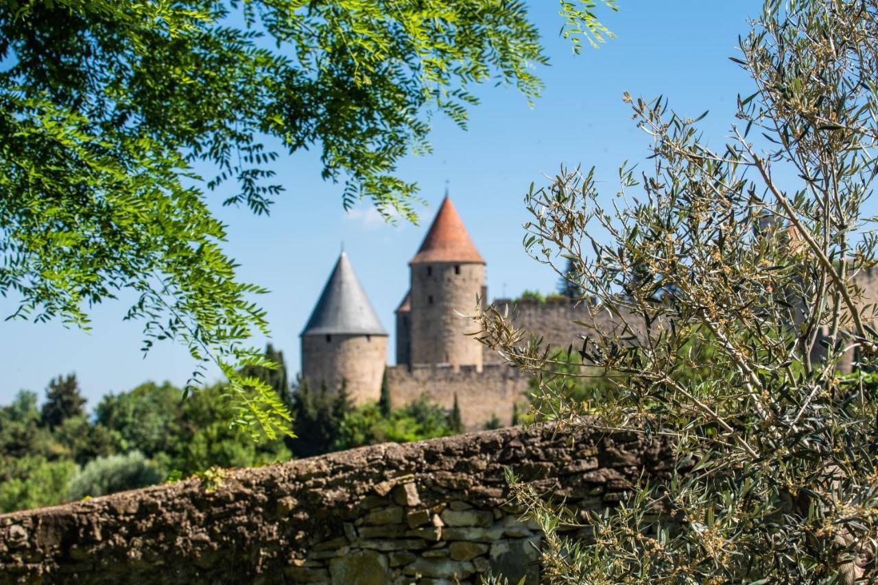 L'Ecrin De La Cite, Coeur De Vignes - Vivez Une Experience Inoubliable ! Carcassonne Eksteriør bilde