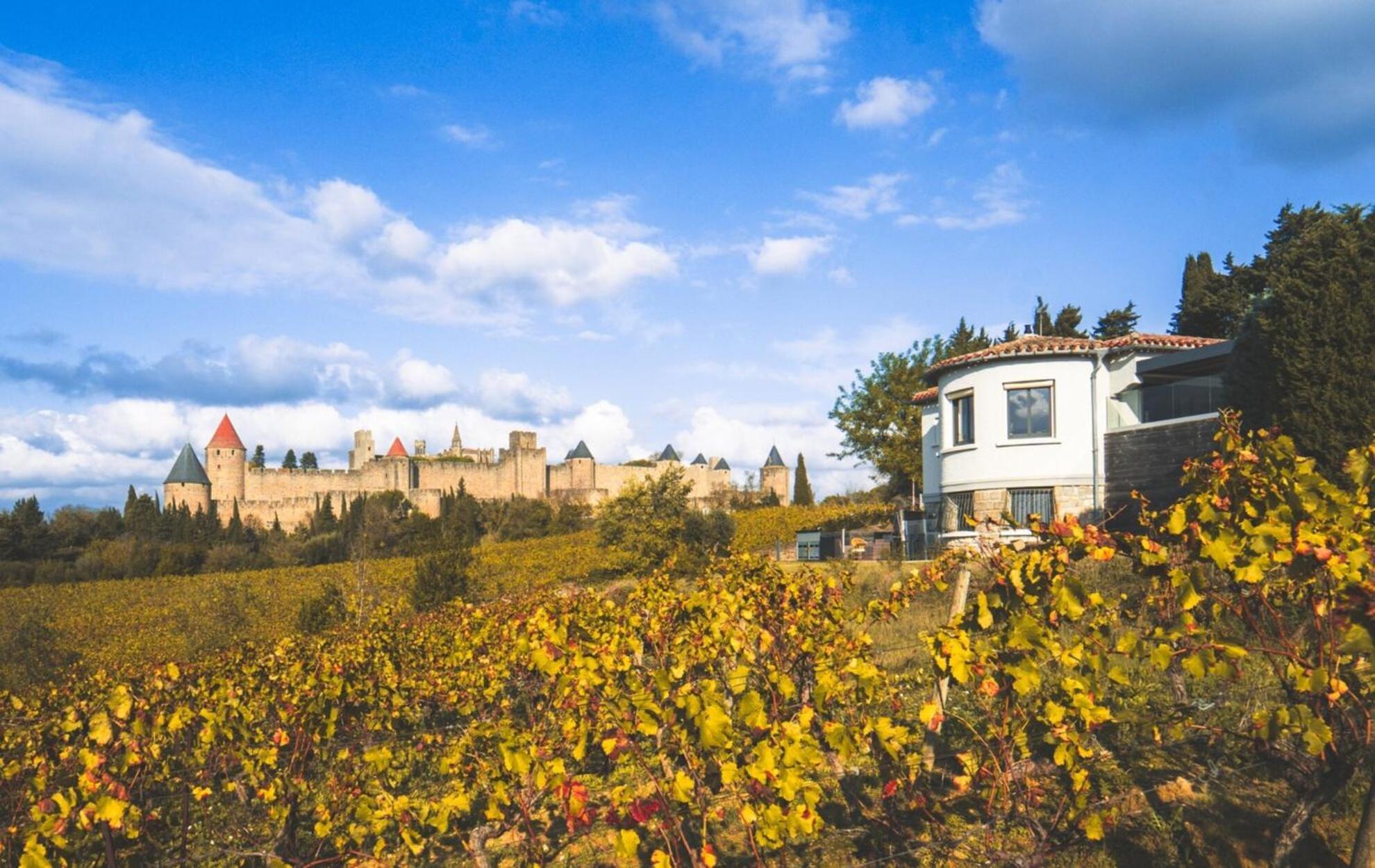 L'Ecrin De La Cite, Coeur De Vignes - Vivez Une Experience Inoubliable ! Carcassonne Eksteriør bilde